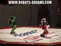 ROBO-ONE 11: Final Match - Yokozuna Great vs. Chrome Kid