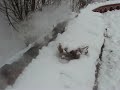 C21動画