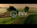 ZVV commercial ZVV commercial