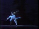 grand pas de deux.  natalia makarova (odette) and ivan nagy (siegfried).  american ballet theater.  telecast on june 30, 1976. staging by david blair after petipa and ivanov.  conducted by akira endo. scenery: oliver smith; costumes: freddy wittop; lighting: jean rosenthal.


natalia makarova (odette/odile), ivan nagy (prince siegfried), lucia chase (princess-mother), enrique martinez (wolfgang), terry orr (benno), marcos paredes (von rothbart), and william carter (spanish dance), with warren conover, kristine elliott, nanette glushak, jolinda menendez, hilda morales, kirk peterson, frank smith, marianna tcherkassky, clark tippett, charles ward, rebecca wright, and artists of the company.