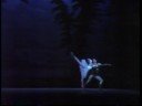 grand pas de deux.  natalia makarova (odette) and ivan nagy (siegfried).  american ballet theater.  telecast on june 30, 1976. staging by david blair after petipa and ivanov.  conducted by akira endo. scenery: oliver smith; costumes: freddy wittop; lighting: jean rosenthal.


natalia makarova (odette/odile), ivan nagy (prince siegfried), lucia chase (princess-mother), enrique martinez (wolfgang), terry orr (benno), marcos paredes (von rothbart), and william carter (spanish dance), with warren conover, kristine elliott, nanette glushak, jolinda menendez, hilda morales, kirk peterson, frank smith, marianna tcherkassky, clark tippett, charles ward, rebecca wright, and artists of the company.