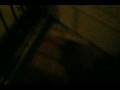 videos de Demon Dog