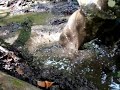 waderoverall in mud
