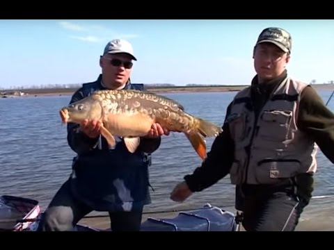 ловля фидером видео карпа весной на пруду ловля фидером видео карпа весной на пруду