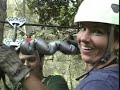 Canopy Tour Mexico Canopy Tour Mexico