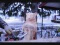 videos de CARVING A BEAR CUB demo 0002