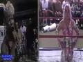 videos de WWC: Video Clip: La Tigresa vs. Luna Vachon