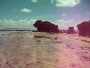 Hilabaan  Pacific Pearl