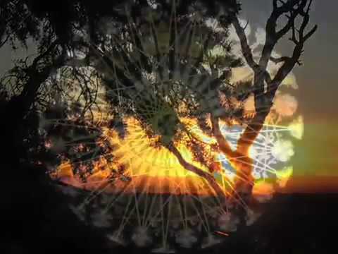 Gratefulness - This Thanksgiving prayer offered by Br. David, accompanied by Gary Malkin's inspired music, looks towards the possibility of our world uniting in an overflow...