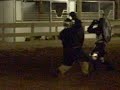 151st Crapaud Tournament Round 6 Fight 2 151st Crapaud Tournament Round 6 Fight 2