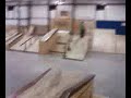 Ollie whale