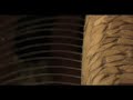 Pineta Nature Wellness Resort_ Centro Benessere Hedonè_Intro