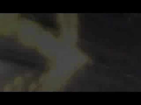 Marylin Manson - Sweet Dreams