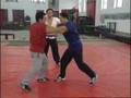 Beijing Style Shuaijiao/Wrestling