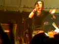 tokio hotel paradiso freunde bleiben