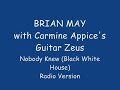 brian may playing guitar on the 1995 single nobody knew (black white house) taken from carmen appice's guitar zeus.  this is the radio version.

________________________________

