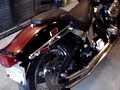 ChopperExchange.com: 1988 FXSTC Softail Custom Harley ChopperExchange.com: 1988 FXSTC Softail Custom Harley