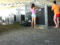 bigg ass horse