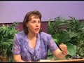 JWQ #5: Do You Believe in War, Hell and the Cross? #1 of 3