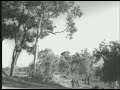 PEDRO INFANTE - EL GAVILAN POLLERO
