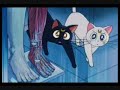 Sailor Moon Romance capitulo  81 1/2 espa�ol