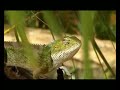 Mauritius (Part 4 of 7)