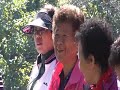 Forest Therapy for Hypertension - Activity