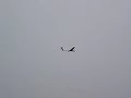 3Ch RC EP Fiberglass 1.5M Ptero-X Thermo Glider Sailplane