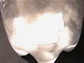Carbon Dioxide Solid and Liquid Carbon Dioxide Solid and Liquid