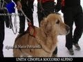 UNITA' CINOFILA SOCCORSO ALPINO