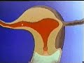 Human Fertilization.FECUNDACION