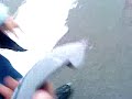 Kübel-sprängung