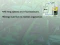 Cannabinoids, From Cells to Society Part 1