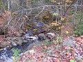 October at Ross Ferry