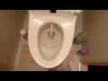 My Washlet - Japanese Style Toilet