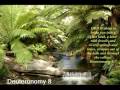 videos de Deuteronomy 8 (with text - press on more info. of video on the side)