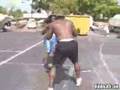 kimbo 305