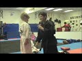 Logan Yellow Stripe