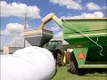 Bountiful Louisiana corn breaking yield records in 2007. Produced by the Louisiana Farm Bureau's weekly television program, This Week in Louisiana Agriculture (TWILA).