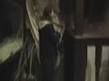 birdcage-theater.html