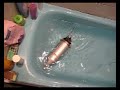 Fishbot Made in FCFM -U. de Chile-