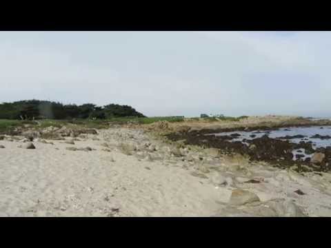 Video for Point Pinos Beaches