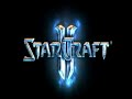 SC2 Marine