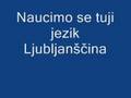 Naučimo se tuji jezik Ljubljanščina