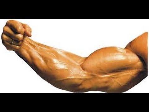 BICEPS - Entrenar el biceps.Tu entrenador personal Toni Gutierrez te enseña como realizar correctamente los ejercicios necesarios para entrenar el bíceps. Síguenos en...
