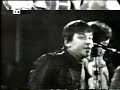 Animals - Roadrunner