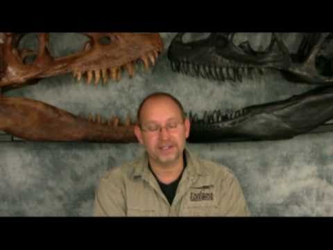 Allosaurus