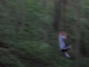 The Vine