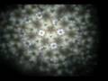 teleidoscope080511-001