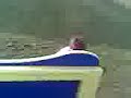 wikk abbeys vids x